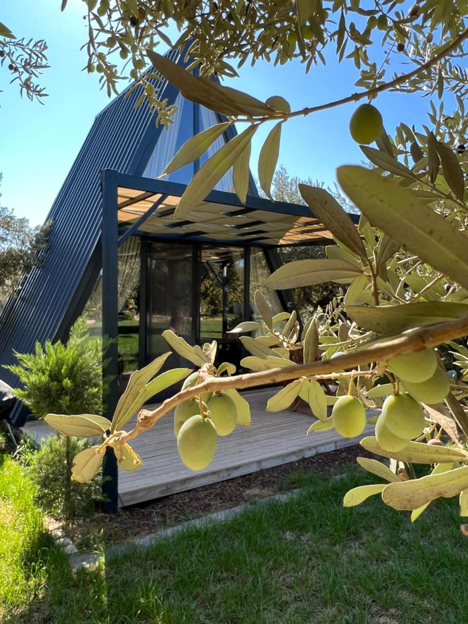 Byelka Bungalov Ayvalik Exterior photo