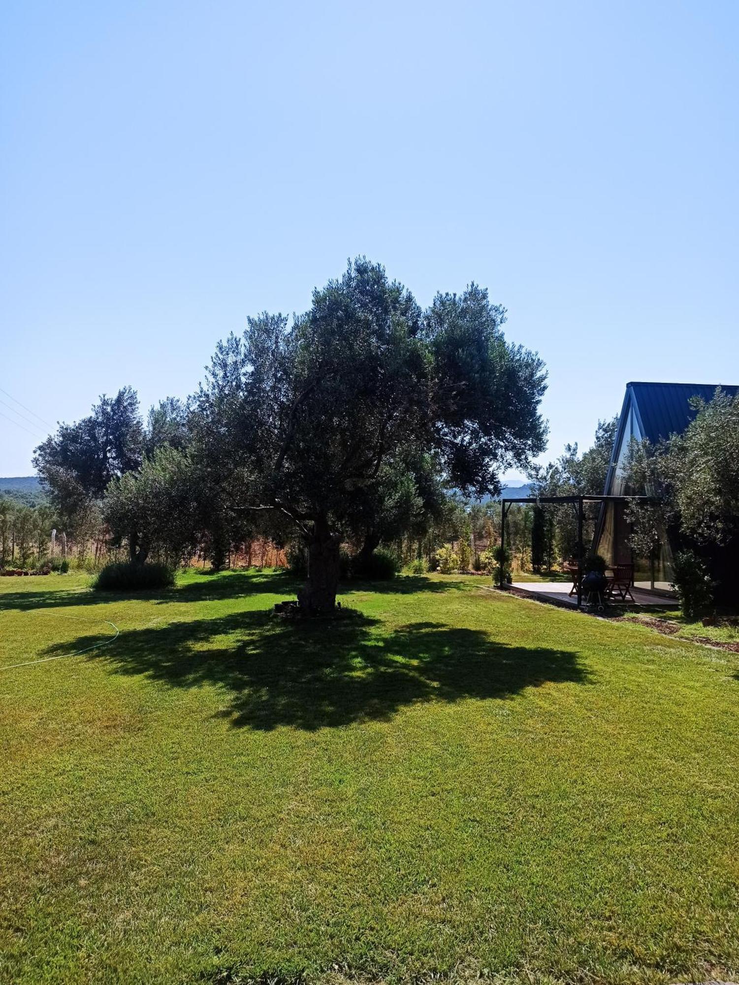 Byelka Bungalov Ayvalik Exterior photo